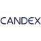 Candex Solutions Inc logo