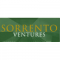 Sorrento Associates Inc logo