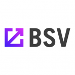 Basis Set Ventures logo