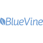 Bluevine Capital Inc logo