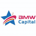 BMW Capital logo