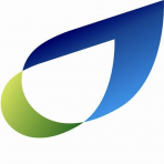 British Gas PLC logo