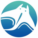 Manta Network logo