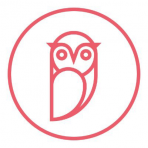 Owl Insights logo