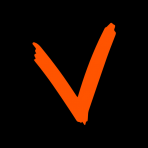 vAudience GmbH logo