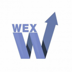 WEX logo