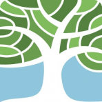 Zelkova Ventures logo